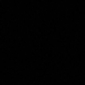 Meet your Posher, Lexi